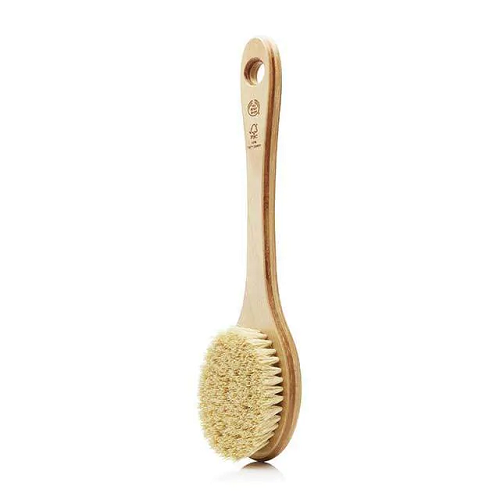 BRUSH CACTUS LONG HANDLE A0 94655