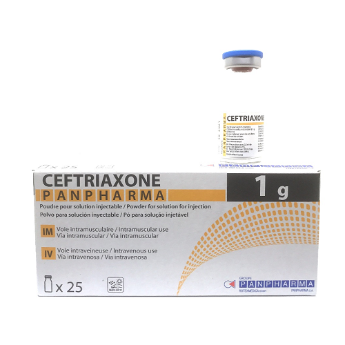 ceftriaxone PAN 1000mg #1