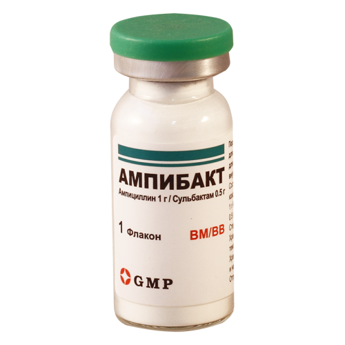 Ampibact 1.5gr in vial N1 i/m