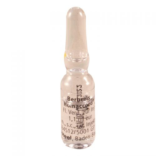 Berberis-Homaccord 1.1ml amp #5