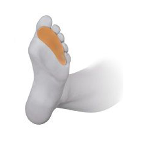 PRIM  TOE CREST WITH LOOP CC226-L (2 UNITS) /2031 #2