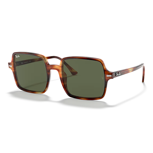 Sunglasses Ray-ban RB1973 954/31 53