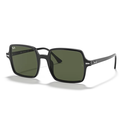 Sunglasses Ray-ban RB1973 901/31 53