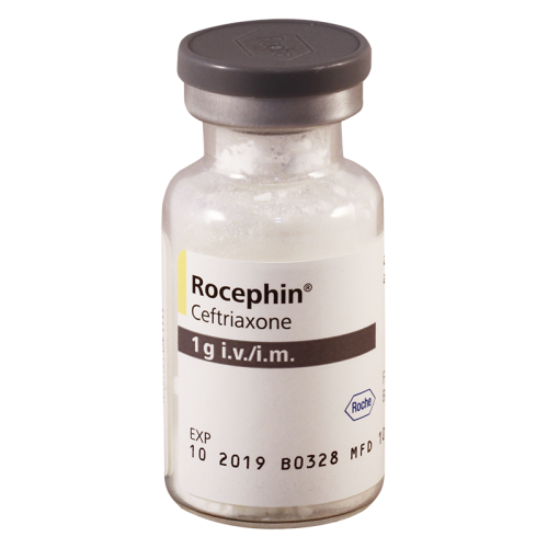 Rocephin 1000mg fl