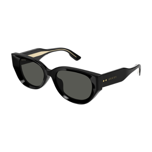 Sunglasses Gucci GG1532SA 001